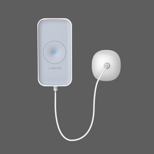 Smart water detector