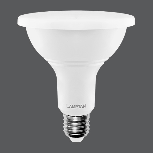 Led par38 9w ip65 dl web