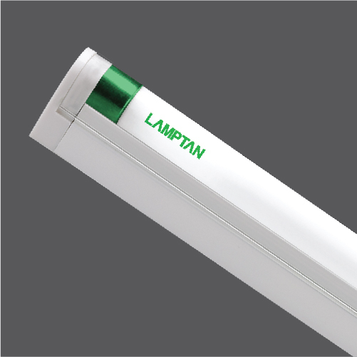 Eco slim t5 web 01