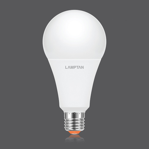 Bulb gloss web