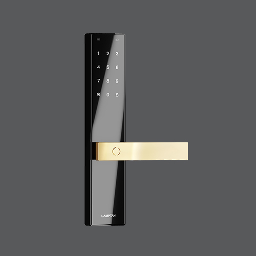 Smart door lock t1