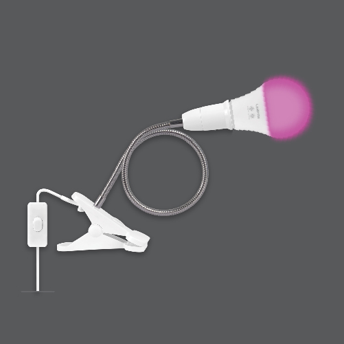 Bulb plant grow set web gray01