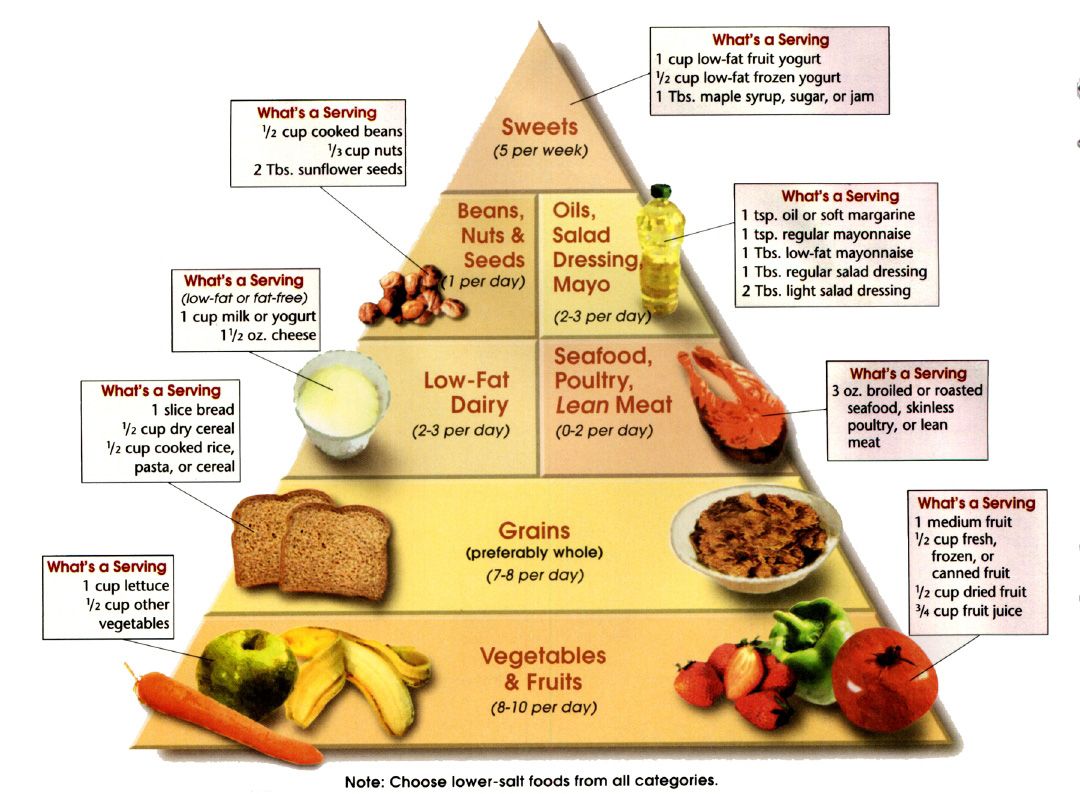 the_dash_diet_pyramid___20130413093216___.jpg