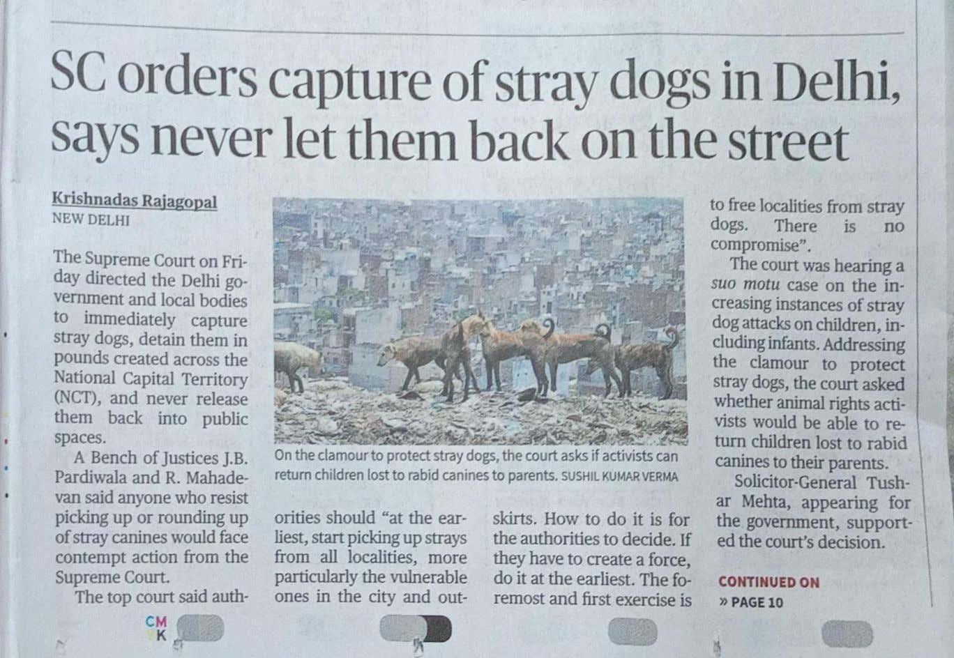 via_LocalCircles_Stray_dogs_in_delhi_1___20250814081803___.jpg