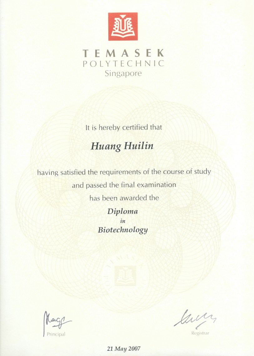 engineering essay writing for ielts test