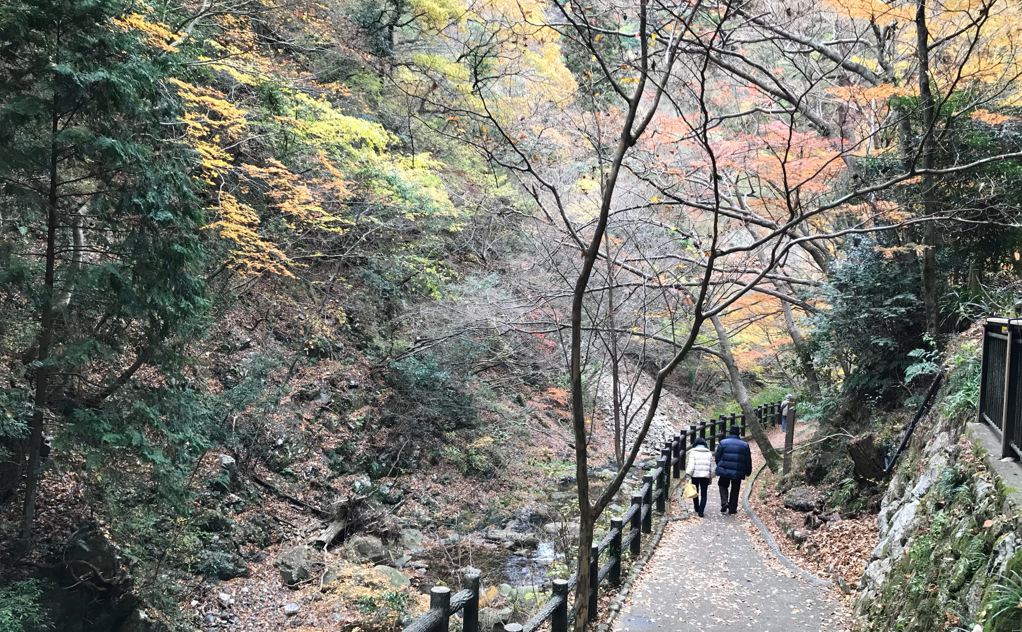 An old couple walking together