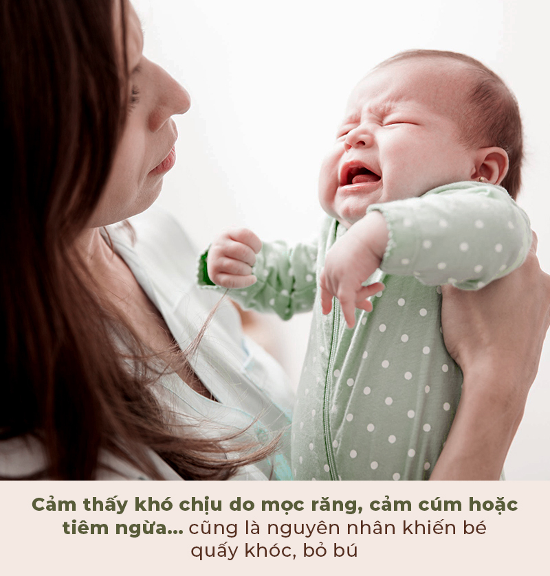 Cảm thấy khó chịu do mọc răng, cảm cúm hoặc tiêm ngừa... cũng là nguyên nhân khiến bé quấy khóc, bỏ bú. Tìm hiểu nguyên nhân và mẹo cho bé bú khỏe từ Lixibox, giúp mẹ và bé yên tâm hơn trong hành trình nuôi dưỡng.