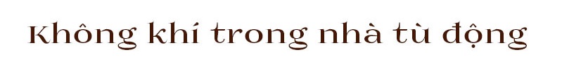 Không khí trong nhà tự động; mẹ cần chú ý đến cách chăm sóc bé để phòng ngừa rôm sảy. Đừng mắc 4 sai lầm khiến tình trạng này kéo dài.