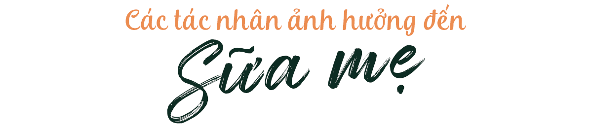 Mẹ và bé, bài viết khám phá tác động của việc ăn bánh mứt ngày Tết đến sữa mẹ. Tìm hiểu sữa mẹ nóng là gì, tác hại đối với trẻ và món ăn giúp sữa mẹ mát. Cụ thể hơn về ảnh hưởng của dinh dưỡng đến tình trạng sức khỏe của bé yêu.