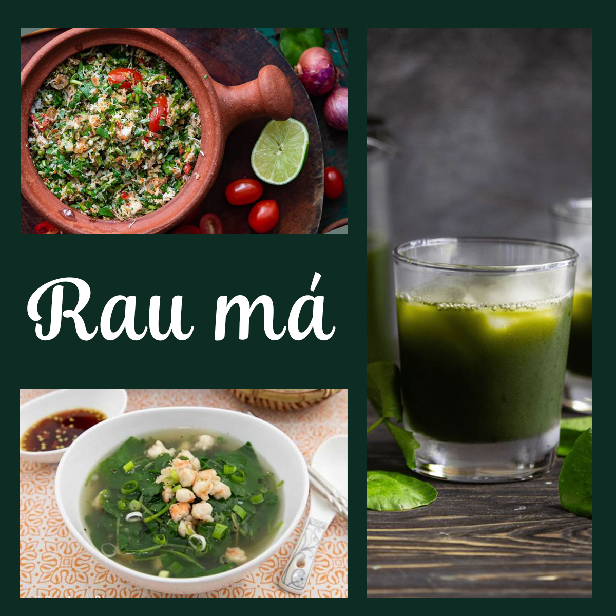 Bài viết giải mã việc ăn nhiều bánh mứt ngày Tết có ảnh hưởng đến sữa mẹ, suy giảm sức khỏe của bé, đồng thời gợi ý các món ăn giúp sữa mẹ mát. Tác động của sữa mẹ nóng đến trẻ nhỏ và biện pháp khắc phục.