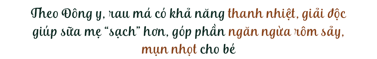 Theo Đông y, rau má có khả năng thanh nhiệt, giải độc giúp sữa mẹ "sạch" hơn, góp phần ngăn ngừa rôm sảy, mụn nhọt cho bé. Bài viết thảo luận về tác hại của sữa mẹ nóng và cách chăm sóc sức khỏe mẹ và bé.