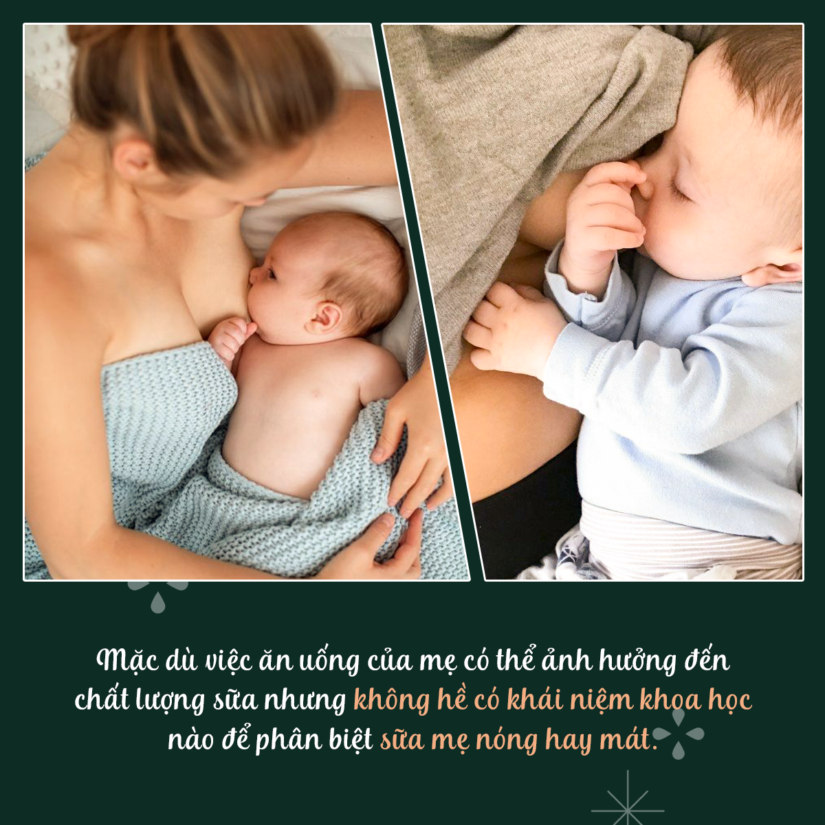 Mẹ và bé trong bài viết về ảnh hưởng của chế độ ăn uống đến chất lượng sữa. Nghiên cứu khẳng định không có sự phân biệt giữa sữa mẹ nóng và mát. Tìm hiểu tác hại của sữa mẹ nóng và cách bảo vệ sức khỏe bé yêu.