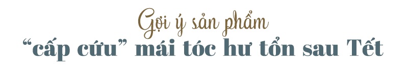 Tận dụng bia dư sau Tết để gội đầu, tóc khỏe đẹp hơn hay càng gãy rụng “không phanh”? Khám phá bí quyết làm đẹp với bia, lưu ý khi gội đầu, và tác dụng của bia với mái tóc để chăm sóc tóc tốt nhất.