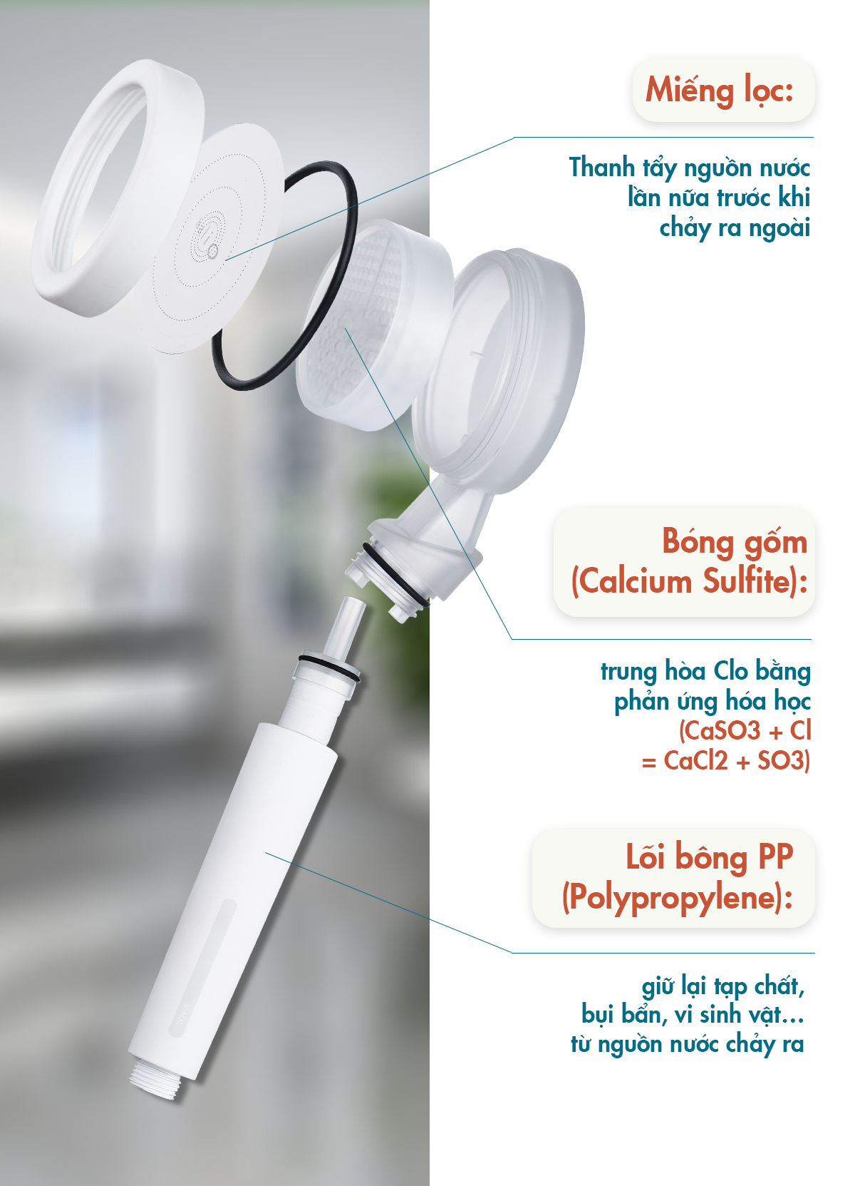 Vòi sen Halio Beautifying Shower Head với tính năng lọc Clo và tiết kiệm nước, mô tả cấu tạo bao gồm miếng lọc, bông gốm, và lõi bông PP, giúp mang lại nguồn nước trong sạch cho gia đình.