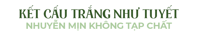 Kết cấu trắng như tuyết, nhuyễn mịn không tạp chất. Khám phá mặt nạ đất sét The Auragins Sulcharia Deep Pore Clarifying Clay Mask, sản phẩm hứa hẹn mang lại làn da sạch dầu và ngăn mụn hiệu quả.
