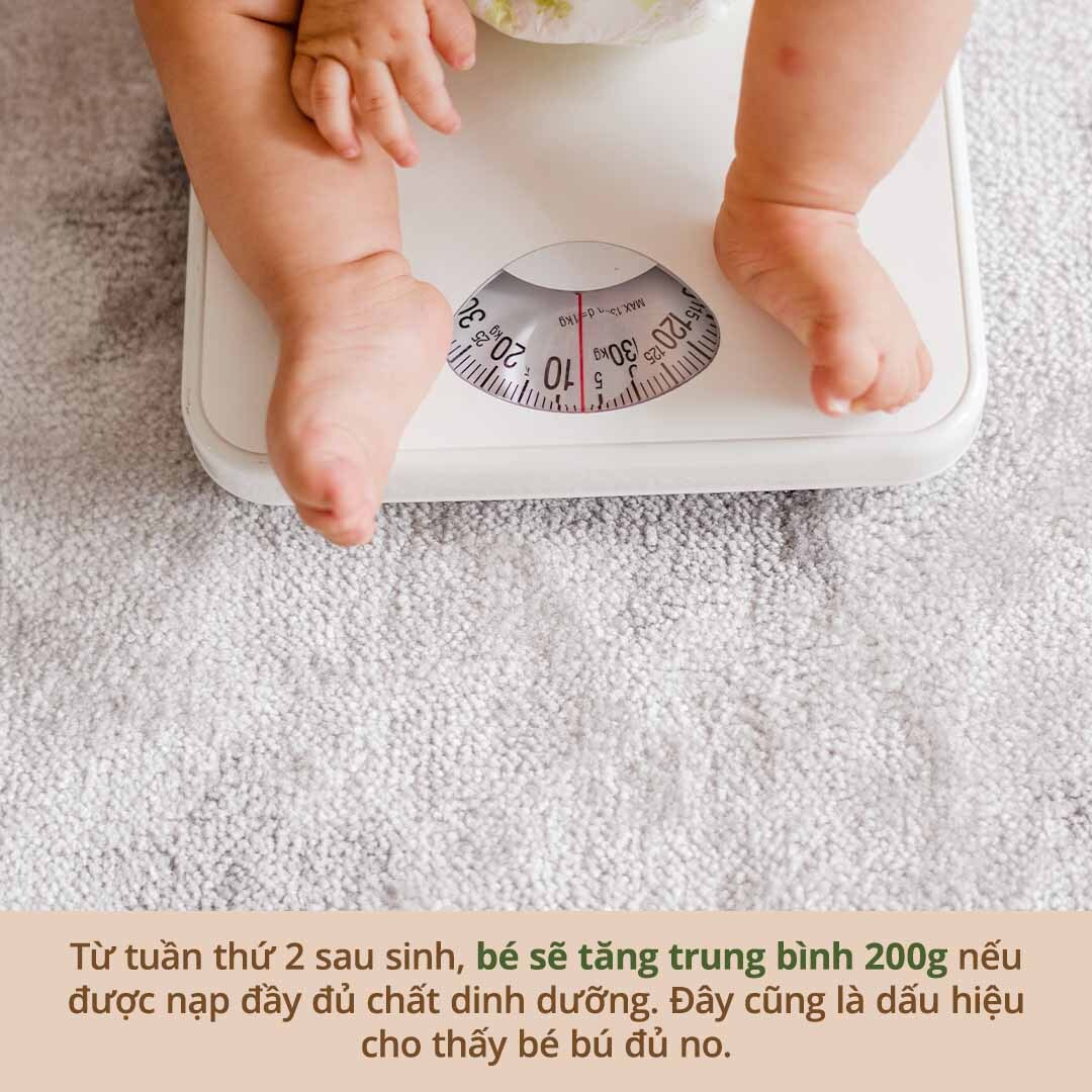 Trẻ sẽ tăng trung bình 200g từ tuần thứ 2 sau sinh nếu được nạp đủ chất dinh dưỡng. Đây là dấu hiệu cho thấy bé bú đủ no.