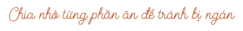 Chia nhỏ từng phần ăn để tránh bị ngán là một trong những mẹo trong bài viết về cách khắc phục trẻ biếng ăn. Bài viết cung cấp 5 mẹo giúp bé tự ăn nhanh chóng và hiệu quả cho các mẹ.