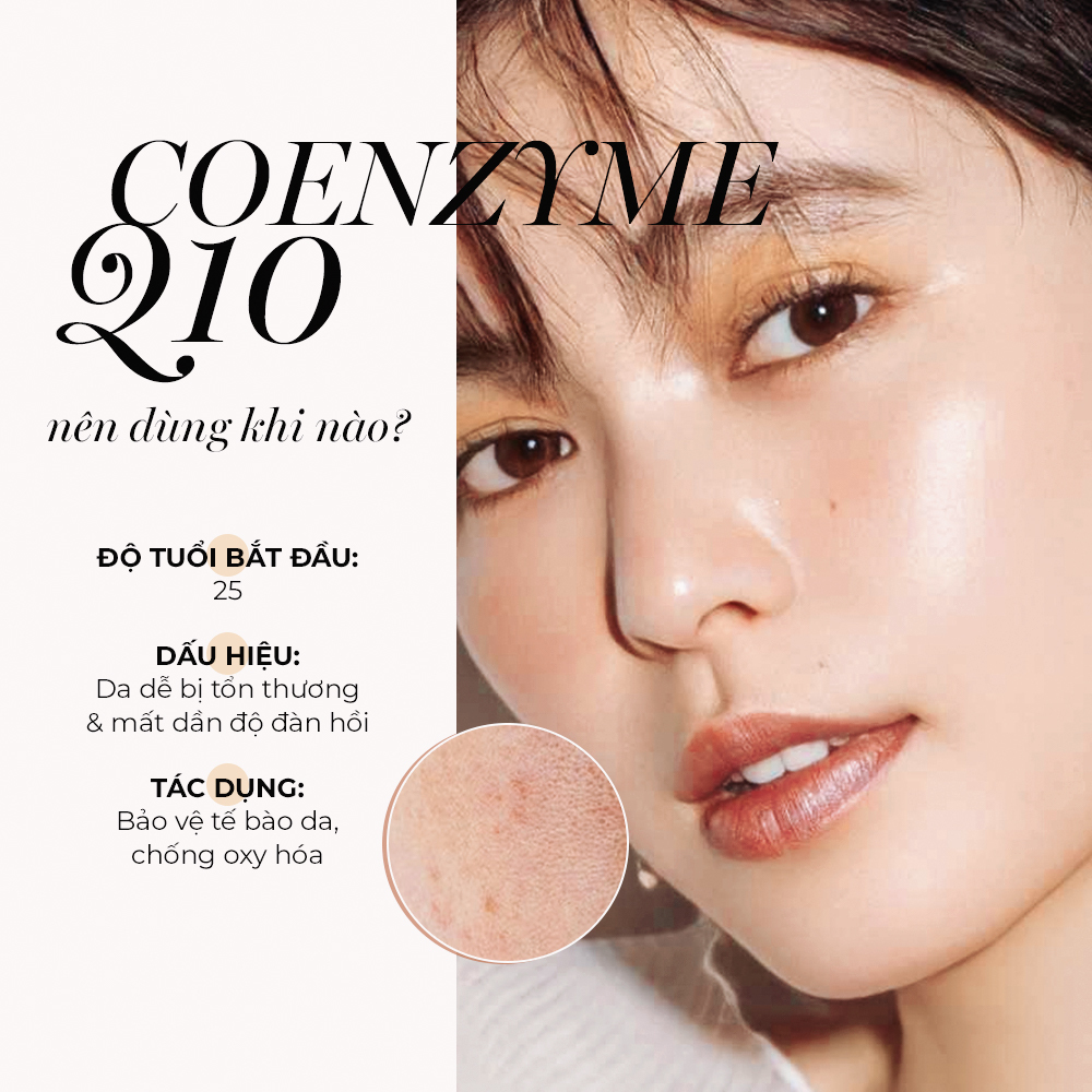 Thành phần Coenzyme Q10 trong chăm sóc da, bắt đầu sử dụng từ 25 tuổi, giúp bảo vệ tế bào và chống oxy hóa. Khám phá khi nào nên dùng Vitamin C, Retinol, AHA và các hoạt chất khác để đạt hiệu quả tối ưu.