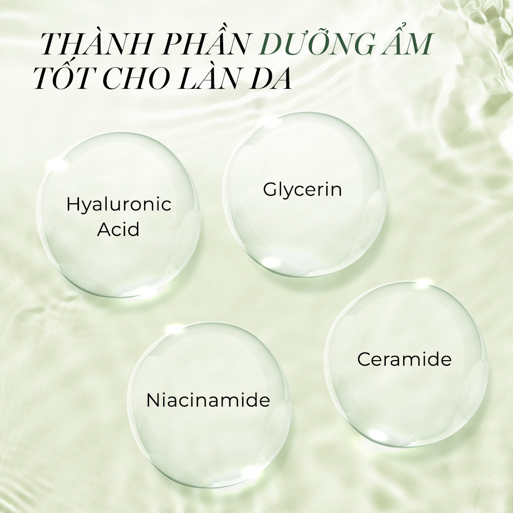 Thành phần dưỡng ẩm tốt cho làn da bao gồm Hyaluronic Acid, Glycerin, Niacinamide và Ceramide, giúp cung cấp độ ẩm tối ưu. Bài viết hướng dẫn phân biệt da khô và da mất nước, cùng cách dưỡng ẩm cho da mặt hiệu quả từ chuyên gia.