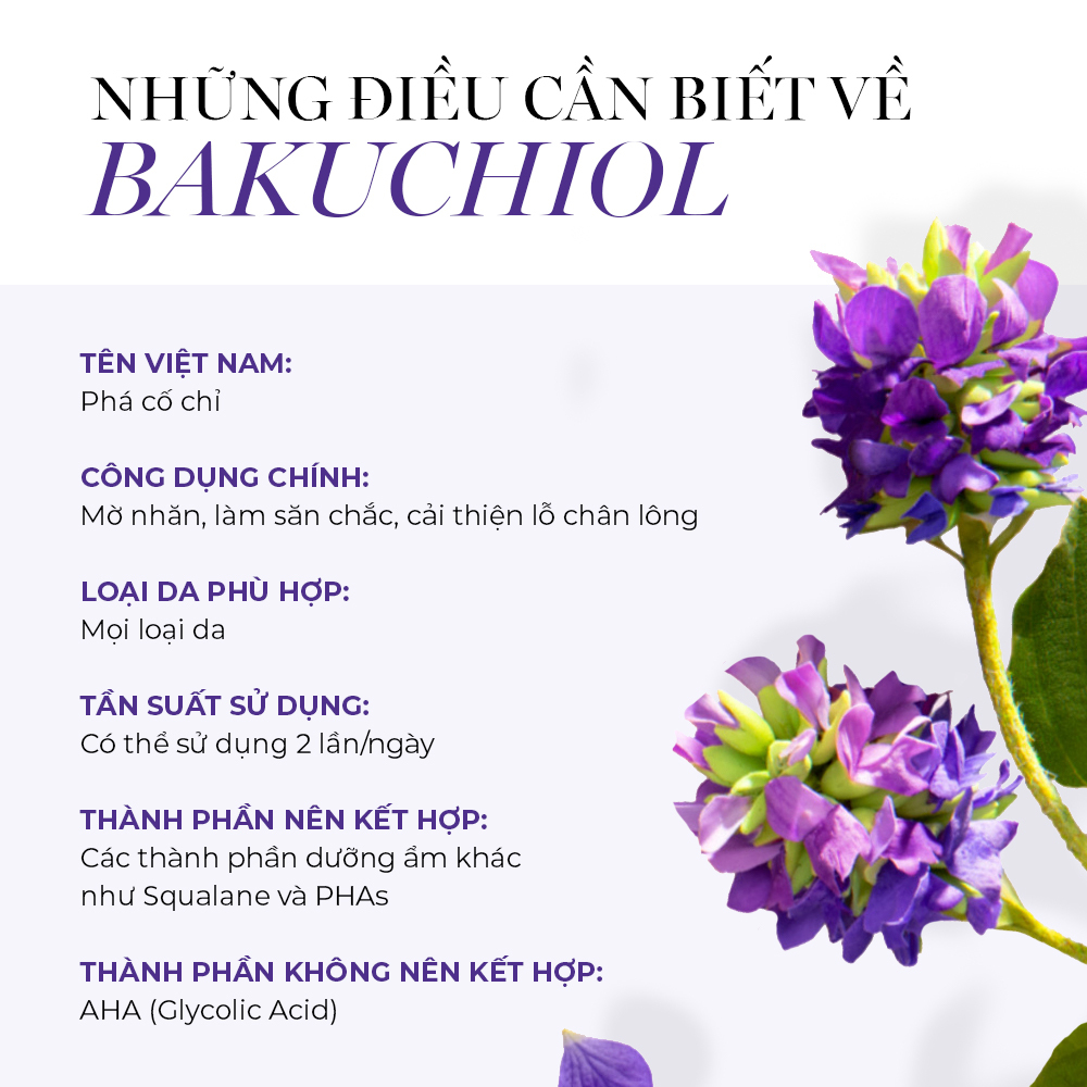 Thông tin cần biết về Bakuchiol - một thành phần mỹ phẩm thay thế cho Retinol. Bakuchiol hỗ trợ cải thiện lỗ chân lông, mờ thâm và chống lão hóa da, phù hợp với mọi loại da. Tìm hiểu thêm cùng Lixibox!