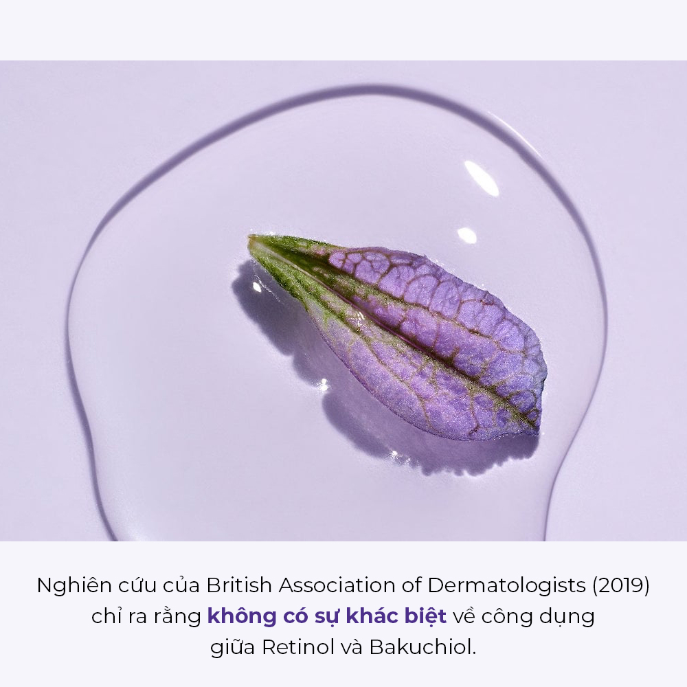 Nghiên cứu của British Association of Dermatologists (2019) chỉ ra rằng không có sự khác biệt về công dụng giữa Retinol và Bakuchiol, giúp mờ thâm và chống lão hóa da hiệu quả. Khám phá Bakuchiol là gì và lợi ích của nó trong Lixibox Magazine.
