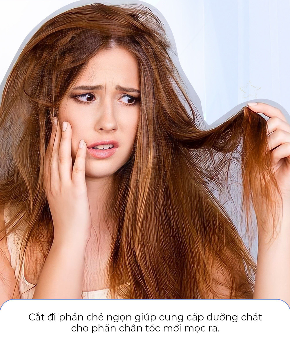 Cắt đi phần chẻ ngọn giúp cung cấp dưỡng chất cho phần chân tóc mới mọc ra. Áp dụng 6 thói quen chăm sóc tóc đơn giản đến từ chuyên gia để có mái tóc chắc khỏe và bồng bềnh cho Tết 2023.