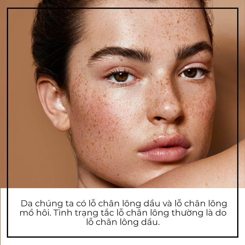 Khám phá sự thật về lỗ chân lông to và những sai lầm thường gặp trong skincare. Bài viết từ Lixibox giúp bạn hiểu rõ hơn về cách khắc phục lỗ chân lông to, nguyên nhân và quy trình skincare hiệu quả.