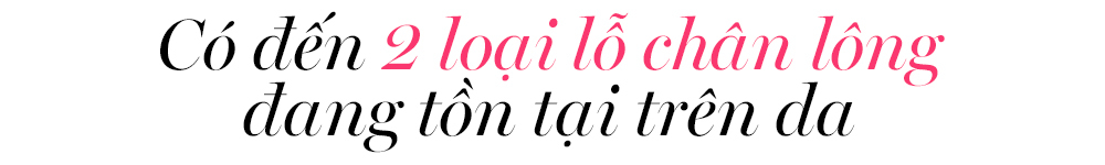 Hai loại lỗ chân lông đang tồn tại trên da và bí quyết skincare giúp thu nhỏ lỗ chân lông to hiệu quả. Bài viết từ Lixibox cung cấp thông tin chi tiết về lỗ chân lông và cách khắc phục tình trạng này.