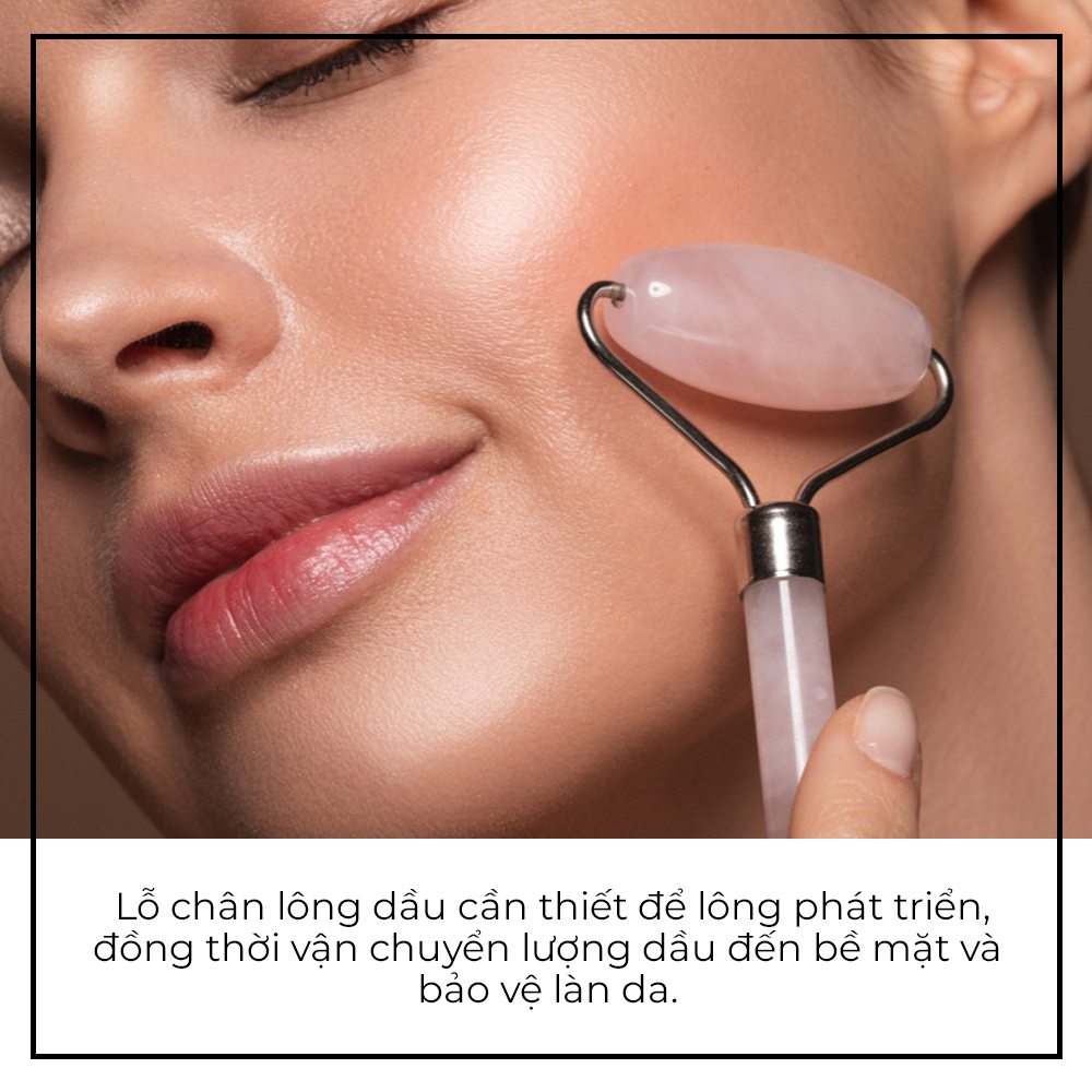 Khám phá những sự thật thú vị về lỗ chân lông và các sai lầm thường gặp trong skincare. Bài viết trên Lixibox sẽ giúp bạn hiểu rõ hơn về cách khắc phục lỗ chân lông to và chăm sóc làn da hiệu quả.