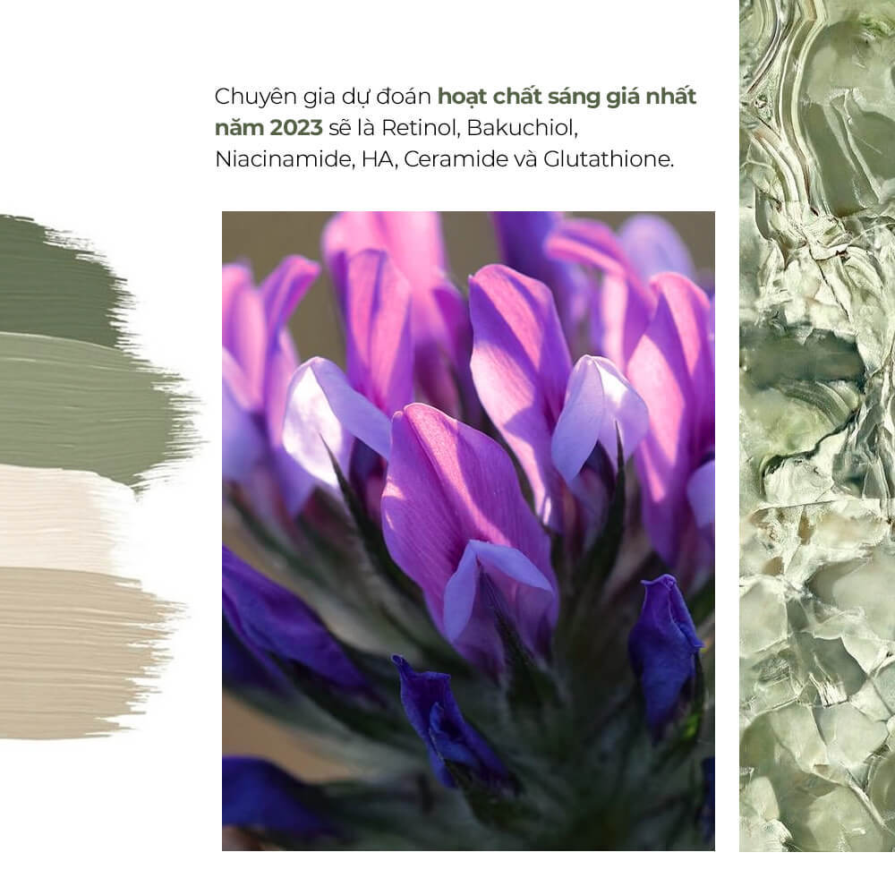 Chuyên gia dự đoán hoạt chất sáng giá nhất năm 2023 sẽ là Retinol, Bakuchiol, Niacinamide, HA, Ceramide và Glutathione trong xu hướng dưỡng da. Khám phá 4 xu hướng skincare 2023 với Lixibox Skincare và các thành phần mỹ phẩm nổi bật.