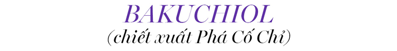 Bài viết trên Lixibox Magazine giới thiệu về thành phần Bakuchiol, một sự thay thế hiệu quả cho Retinol, giúp dưỡng da, trị mụn, và làm trắng mà mẹ bầu cũng như làn da nhạy cảm có thể an tâm sử dụng.
