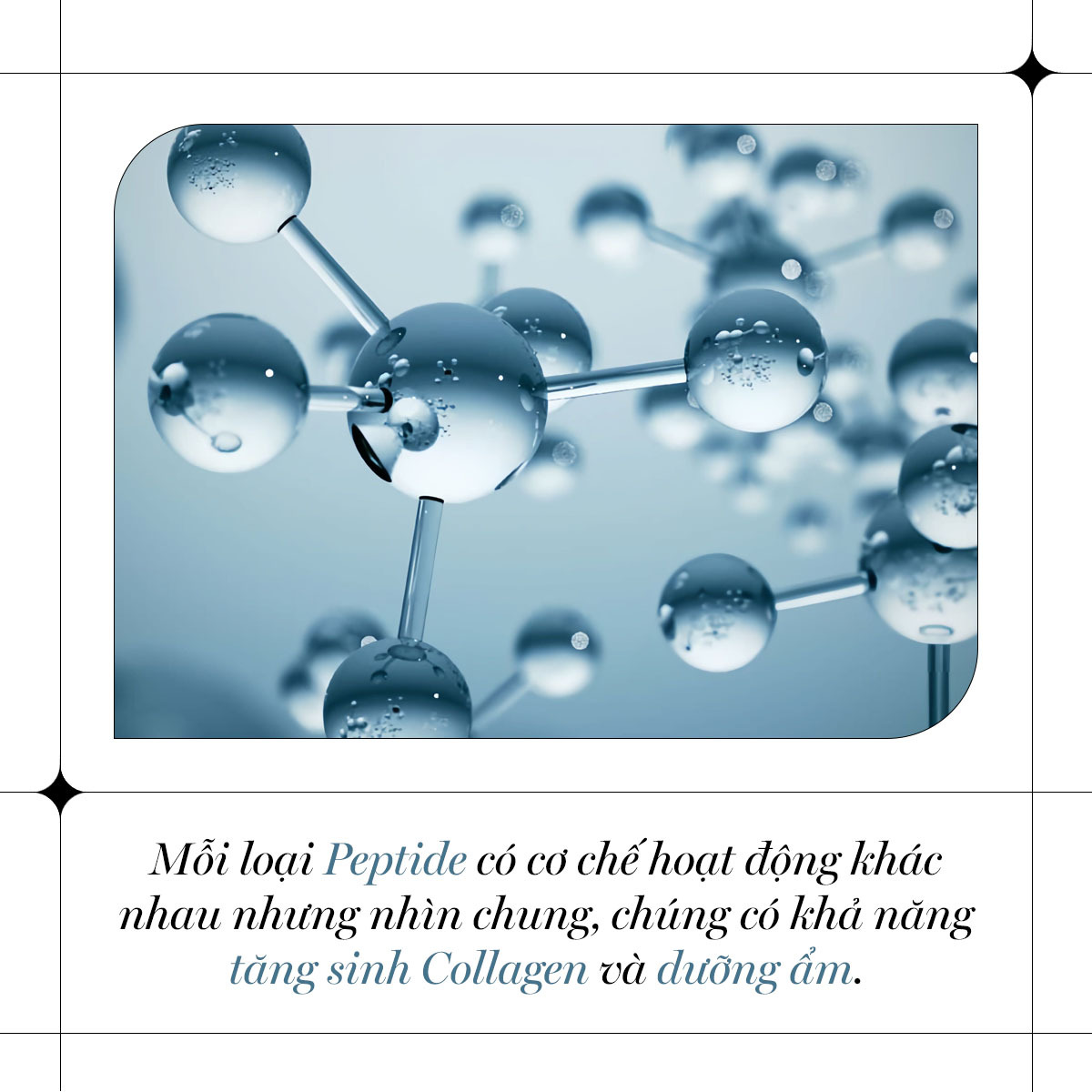 Mỗi loại Peptide có cơ chế hoạt động khác nhau nhưng nhìn chung, chúng có khả năng tăng sinh Collagen và dưỡng ẩm, giúp ngăn ngừa lão hóa da hiệu quả. Đây là một trong những thành phần mỹ phẩm chống lão hóa bạn cần biết.