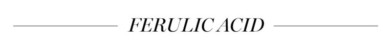 Tên thành phần mỹ phẩm chống lão hóa: Ferulic Acid. Tìm hiểu tác dụng của các hoạt chất như hyaluronic acid, bakuchiol, Vitamin C, Retinoids để chống lại dấu hiệu lão hóa da. Bài viết của Lixibox Magazine giúp bạn làm đẹp và duy trì làn da trẻ trung.