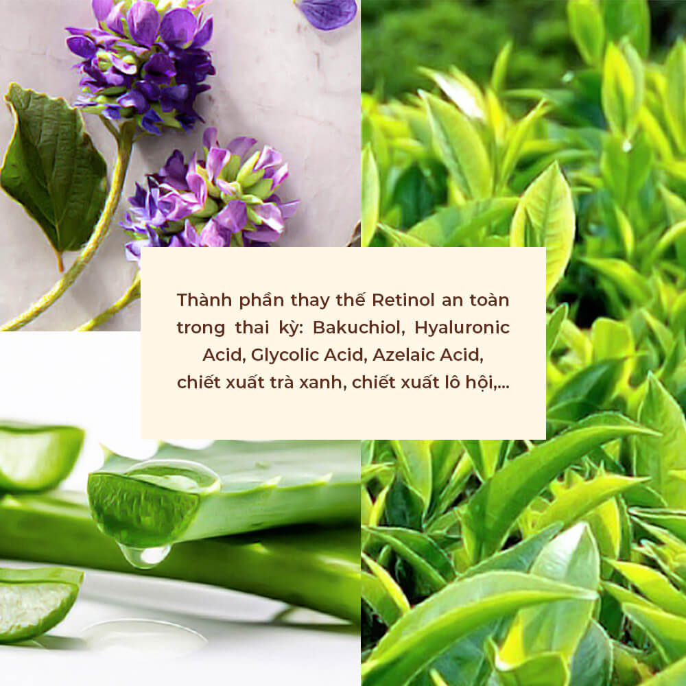 Thành phần thay thế Retinol an toàn trong thai kỳ: Bakuchiol, Hyaluronic Acid, Glycolic Acid, Azelaic Acid, chiết xuất trà xanh, chiết xuất lô hội,... Lixibox Mom&Baby cung cấp thông tin chi tiết cho mẹ bầu về việc sử dụng retinol.