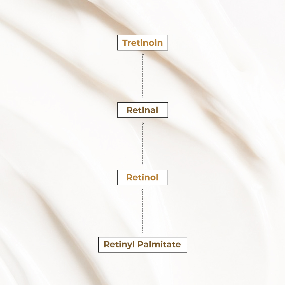 Xếp hạng các dẫn xuất Retinoid: Tretinoin, Retinal, Retinol và Retinyl Palmitate. Bài viết cung cấp thông tin về sự khác biệt và ưu điểm của các thành phần trong chăm sóc da, giúp hiểu rõ hơn về retinol và dẫn xuất Retinoid tại Lixibox Skincare.