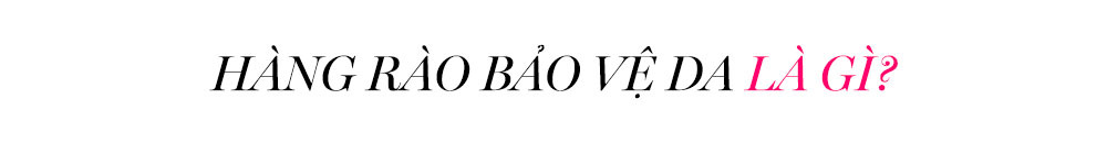 Hàng rào bảo vệ da 