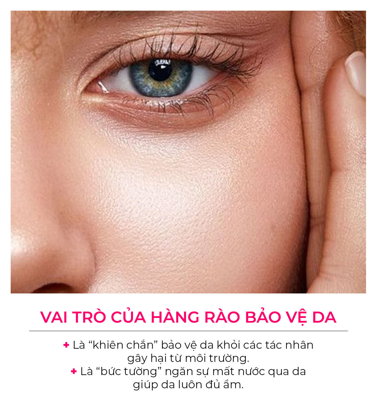 Vai trò của hàng rào bảo vệ da: Là "khiên chắn" bảo vệ da khỏi tác nhân gây hại từ môi trường. Là "bức tường" ngăn sự mất nước qua da giúp da luôn đủ ẩm. Khám phá xu hướng làm đẹp 2023 với Lixibox!