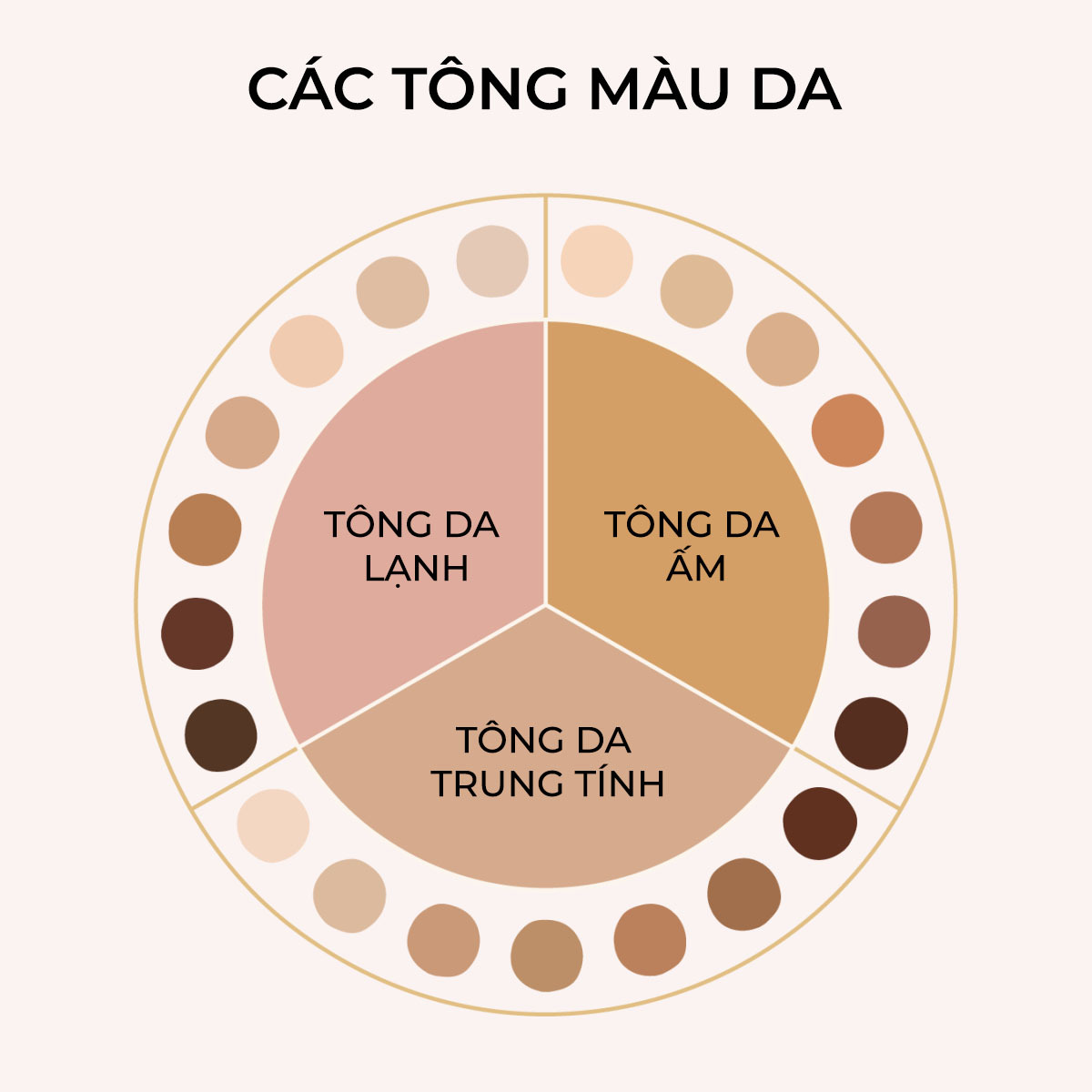 Màu sắc thể hiện sự phân loại các tông da: Tông da lạnh, tông da ấm, tông da trung tính. Đây là hướng dẫn chọn màu son môi phù hợp với tông da, giúp những người mới bắt đầu hoặc muốn tặng son môi cho phái đẹp dễ dàng lựa chọn son môi phù hợp.
