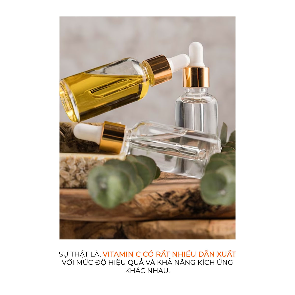 Bài viết trên Lixibox khám phá 7 lầm tưởng tai hại về việc sử dụng Vitamin C cho làn da. Vitamin C được xem là "thần dược" cho da nhưng cần sử dụng đúng cách để tối ưu hiệu quả dưỡng trắng và chống lão hóa.