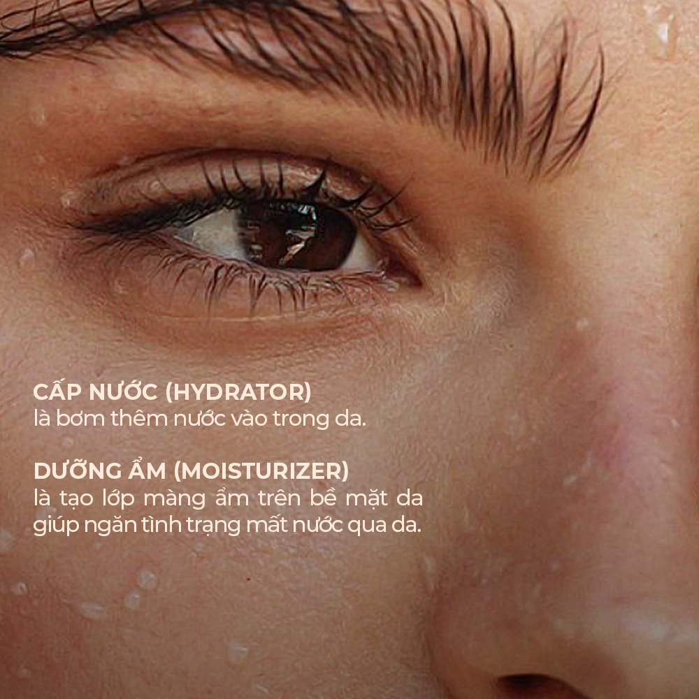 Cấp nước (hydrator) là bơm thêm nước vào trong da, còn Dưỡng ẩm (moisturizer) tạo lớp màng ẩm trên bề mặt da giúp ngăn tình trạng mất nước qua da. Khám phá phân biệt cấp nước và dưỡng ẩm để chọn kem dưỡng ẩm phù hợp với làn da tại Lixibox.