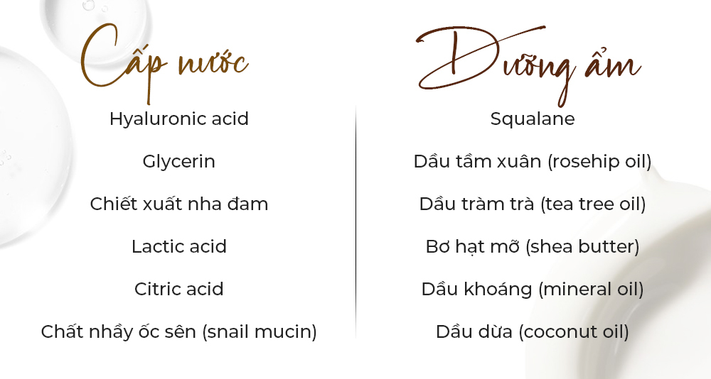 Bảng phân biệt cấp nước và dưỡng ẩm trong làm đẹp. Cấp nước gồm nguyên liệu như Hyaluronic acid, Glycerin và Chất nhầy ốc sên, trong khi dưỡng ẩm sử dụng Squalane và các loại dầu tự nhiên như dầu dừa, dầu tràm trà, mang đến làn da căng mướt.