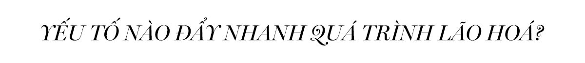 Yếu tố nào dẫn đến nhanh quá trình lão hoá? Khám phá câu trả lời cho câu hỏi về sự khác biệt tốc độ lão hoá giữa da khô và da dầu trong bài viết trên Lixibox Skincare.