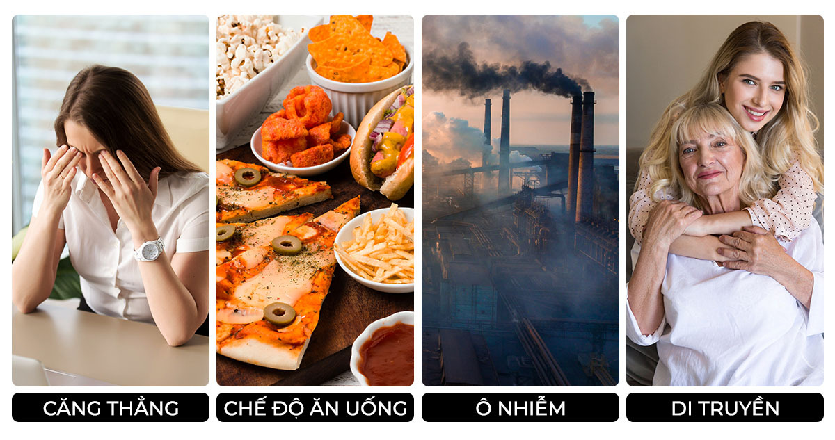 Bài viết trên Lixibox khám phá sự khác biệt trong tốc độ lão hoá da giữa da khô và da dầu. Dựa trên phân tích từ chuyên gia, bài viết giải thích các yếu tố như căng thẳng, chế độ ăn uống, ô nhiễm, và di truyền ảnh hưởng đến quá trình lão hoá da.