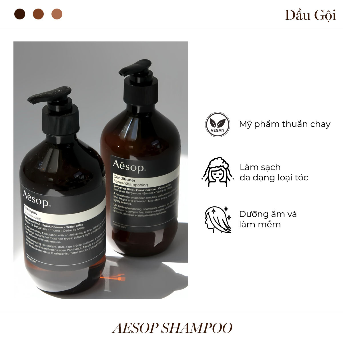 Hai chai dầu gội Aesop với nhãn hiệu nổi bật, sản phẩm làm đẹp bền vững, thuần chay. Dầu gội giúp làm sạch nhiều loại tóc, dưỡng ẩm và làm mềm tóc, phù hợp với xu hướng mua sắm làm đẹp bền vững hiện nay.