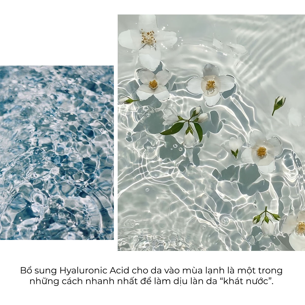 Bổ sung Hyaluronic Acid cho da vào mùa lạnh là một trong những cách nhanh nhất để làm dịu làn da "khát nước". Khám phá các thành phần dưỡng da mùa lạnh cùng Lixibox để chăm sóc da mùa đông hiệu quả.
