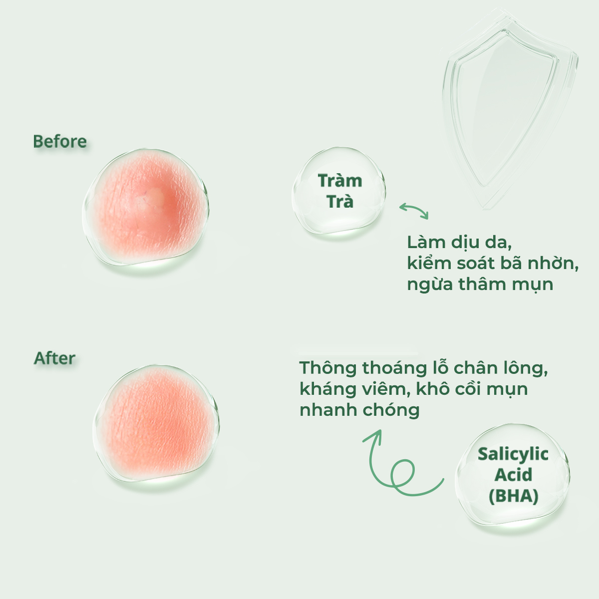 Ra mắt miếng dán mụn The Auragins Acne Rescue Patch từ thương hiệu Lixibox. Hình ảnh mô tả hiệu quả trước và sau khi sử dụng, với thành phần tràm trà làm dịu và salicylic acid (BHA) giúp thông thoáng lỗ chân lông, nhanh chóng xẹp mụn.