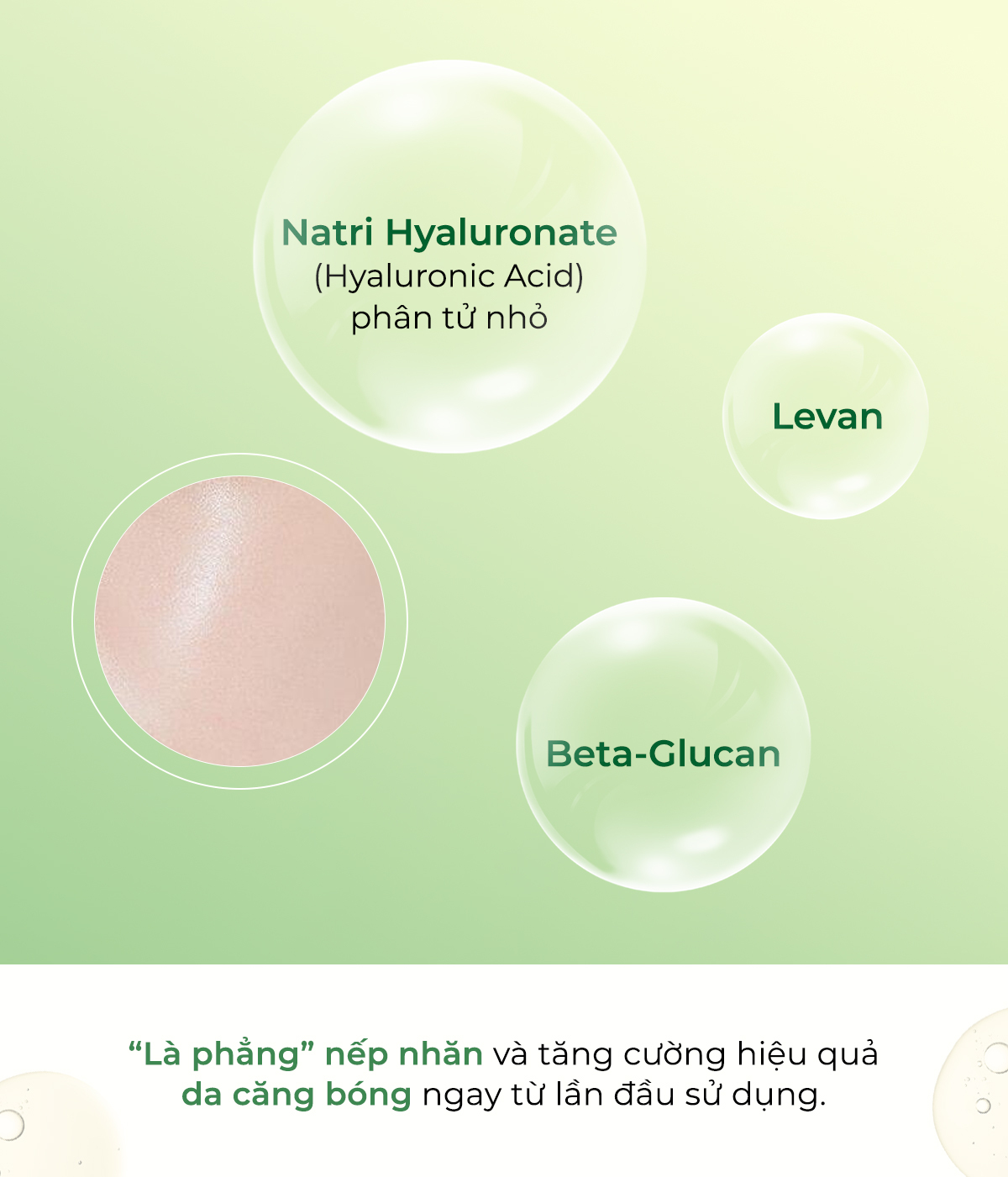 Các thành phần của serum 14% Vitamin C The Auragins: Natri Hyaluronate (Hyaluronic Acid), Levan, Beta-Glucan giúp dưỡng trắng da, cung cấp độ ẩm và tăng cường hiệu quả làm đẹp, mang lại làn da căng bóng và khỏe mạnh.