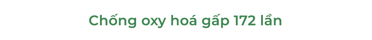 Chống oxy hóa gấp 172 lần, serum The Auragins Glow Complexion Serum với 14% Vitamin C mang lại hiệu quả dưỡng trắng da và trẻ hóa làn da, lý tưởng cho những ai tìm kiếm sản phẩm chăm sóc da hiệu quả từ Lixibox.