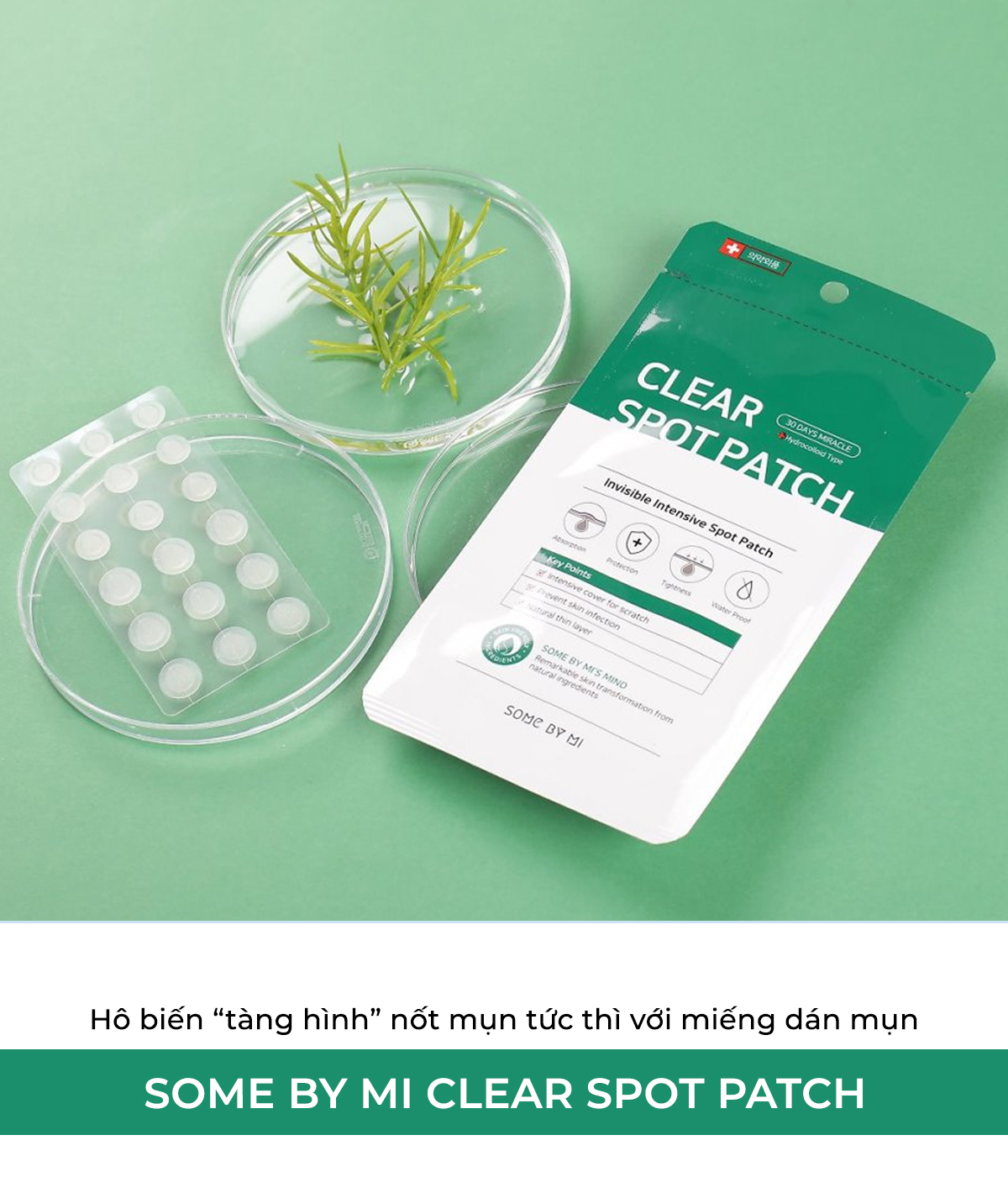 Bài viết về miếng dán mụn SOME BY MI CLEAR SPOT PATCH giúp triệt tiêu nốt mụn chỉ trong 6 tiếng. Khám phá top 5 miếng dán mụn tốt nhất hiện nay từ Lixibox Skincare, giải pháp hoàn hảo cho sự kiện quan trọng.