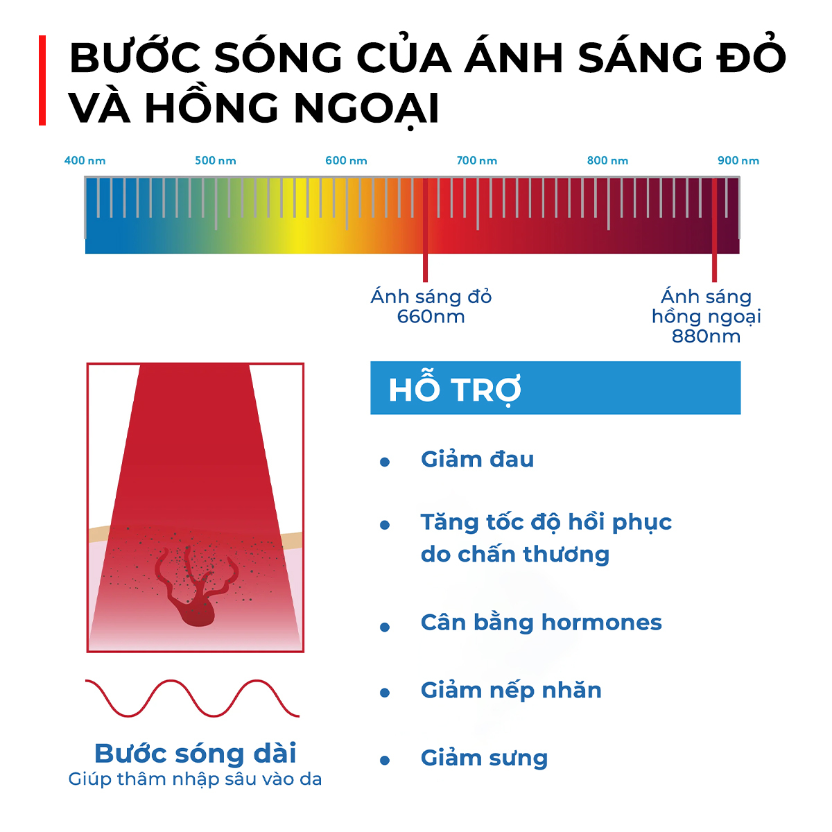 Bài viết giải thích sự khác biệt giữa ánh sáng đỏ và ánh sáng hồng ngoại, ứng dụng của chúng trong làm đẹp như tăng sinh collagen, chống lão hóa và gợi ý máy chiếu ánh sáng đỏ cho việc chăm sóc da tại nhà.